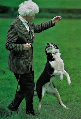 mary heaton and tess