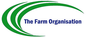 tfo logo